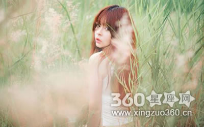 �������Ʋƾ������Ʋ�·�ϵ�����