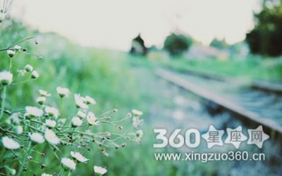 ���������й��ڲ������ﲻ�ǿ���������