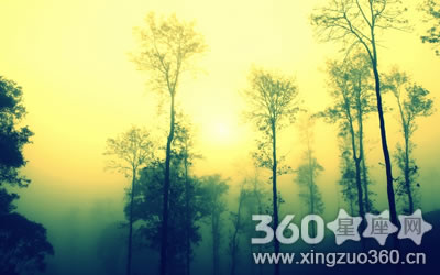 һ����ͷֲ��嶫������������