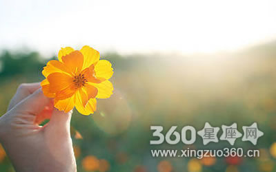 ��Ϊ������ ��Щ�������ѽ�������