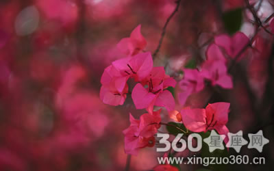 ϲ���ѱ��˵�����˵����������Ů