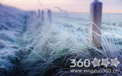 ������Ƶ�������ӵ���ФŮ