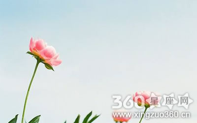 Ϊ�ϲ��� Խ�ϱ��Խ��������