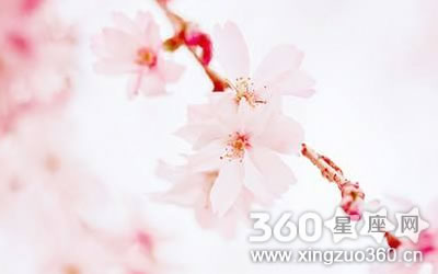 Ϊ�ϲ��� Խ�ϱ��Խ��������