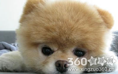 �������������Ҫע���⼸��