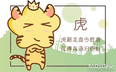 哪些生肖女总是沉迷综艺节目