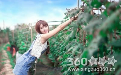 ������������������ζԴ�����