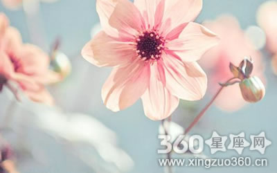 ��Щ������̫�������Ǽ������