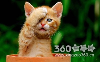 һ�Բ��Ͼ�쭿쳵������Ů