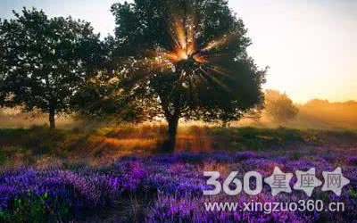 ������ ��Щ����������Ϸ����six