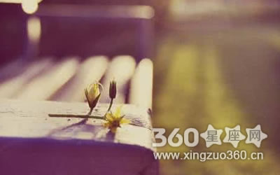 ʮ�����������������ս���