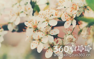 ��Щ��Ф�м�ֱ�ǰԵ��ܲõ���Ѵ�����