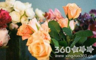 ������Ҫ������ȴû��ͣ�¹�������