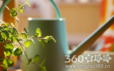 ������Ҫ������ȴû��ͣ�¹�������