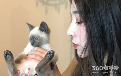 ��������ФŮ����������⿸���