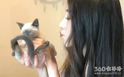 ��������ФŮ����������⿸���