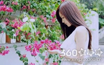 ���������ǰ�ũ����������