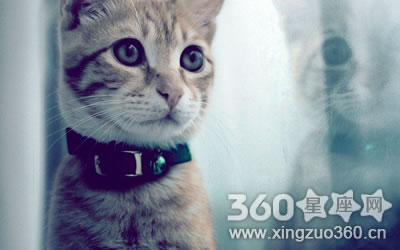 ����û�¾Ͱ�����ͷ����ФŮ