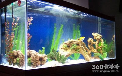 ��������������ˮҪ��ô����