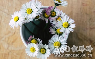 ������Ϸ����ʵ�ѹ����Ф��