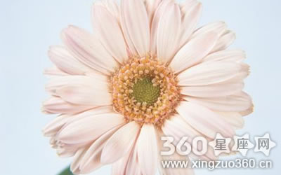 ������Ϸ����ʵ�ѹ����Ф��