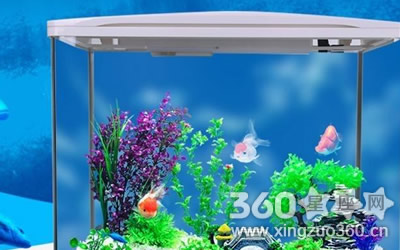 ���ſ�����׷�ˮ�ò�����