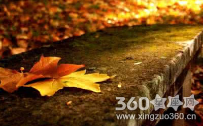 ��Щ�������Լ����� ȴ�Ա��˴�ë���