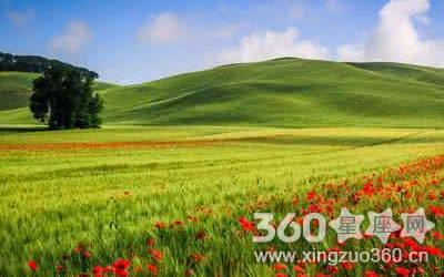 ��Щ�������Լ����� ȴ�Ա��˴�ë���