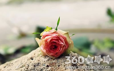 �˾Ӷ����ú����Լ��������������ҳ�