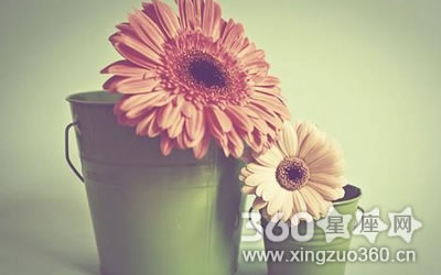 ���������ߵ��Ķ����˹�ע����Ф