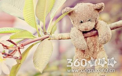 ���������ߵ��Ķ����˹�ע����Ф