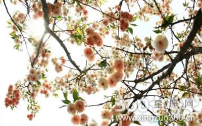 ���ǿ���ʶ������С��������ФŮ