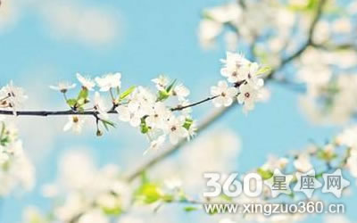 �����д��������˵�����Ů������