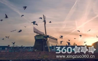 ��Щ����������������ľ�֢����