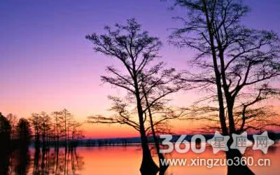 ��Щ����������������ľ�֢����