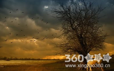 ��Щ����������������ľ�֢����