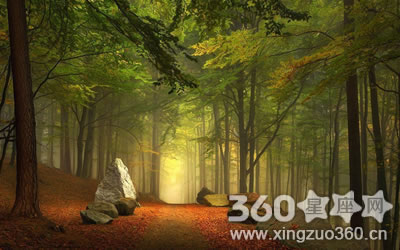 ���̹��ͣ�˵��û�ִ����׵����˵�����