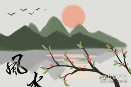 摆放这些花卉植物能够提升厕所风水