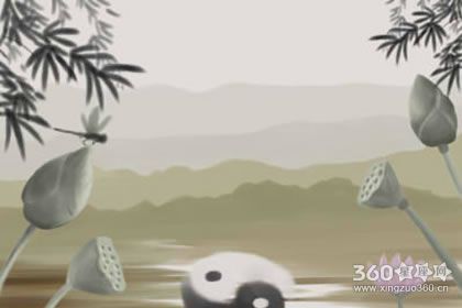 摆放这些花卉植物能够提升厕所风水