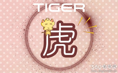 ʮ����Ф��׷��Ů��ʱ����·