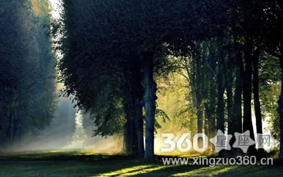 ����̫���������е�������Ф