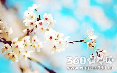 һ���˳Ի����KTV���ú�����������