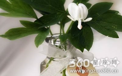 һ���˳Ի����KTV���ú�����������