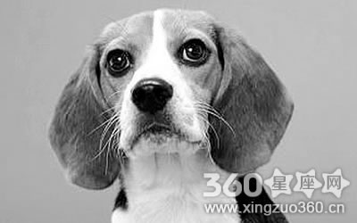 ��Щ������������Ů������