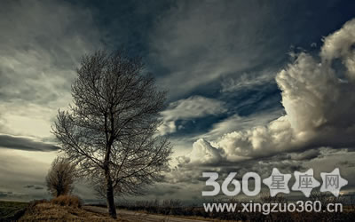 ��Щ������������Ů������