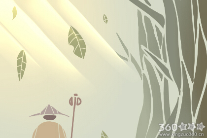 餐厅的各个角落适合放置哪些类型的植物