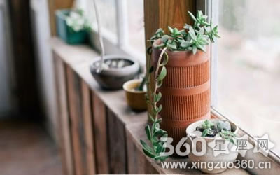 ���������Ĳ�����ФŮ ������