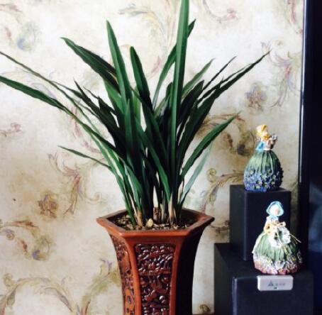 ����̫���˵˵