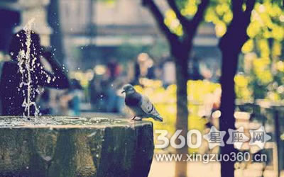 �������Լ�ȴ�޵ø����ĵ�����Ů