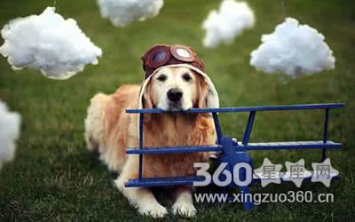 ����֮������������ȥ����������˭